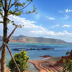 刘家峡国际滑翔营地