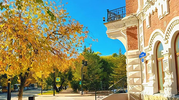 阿穆尔州地志博物馆