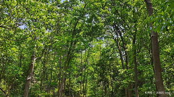 湘湖西山游步道