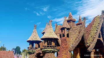 昆明国兴多肉植物园