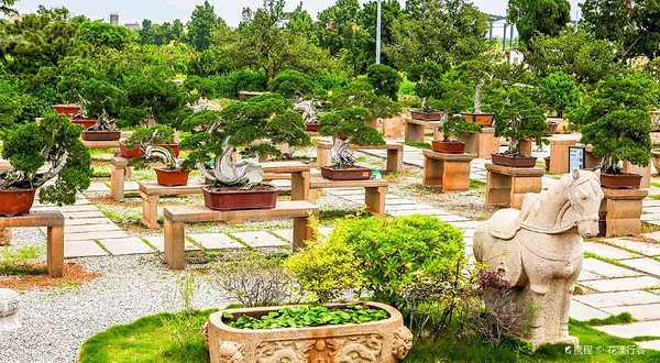 鸿江盆景文化园