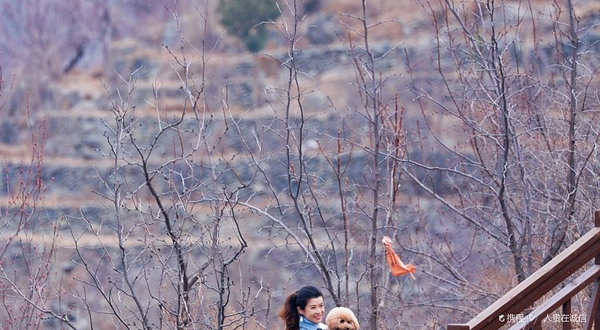 崔村西峪橡树谷