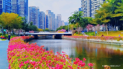 后海中心河公园第 1 张图片