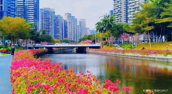 后海中心河公园