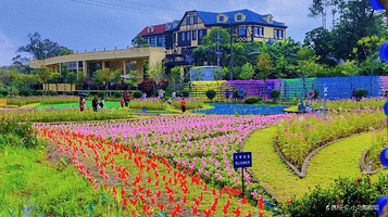 香草田园共享农庄