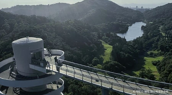 健康步道林海线盼归塔胶囊楼梯