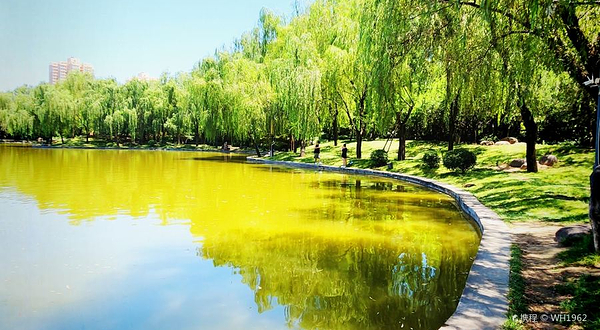 清凉山森林公园