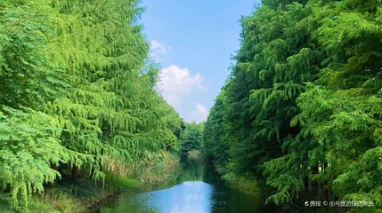 龙湖湿地公园第 1 张图片