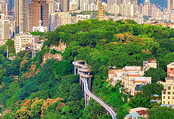 鹅岭公园第 95 张图片