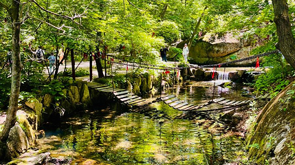 凤凰山森林公园第 1 张图片