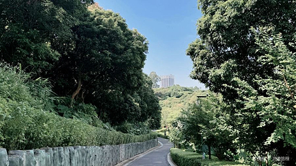 企龙山足球公园第 1 张图片