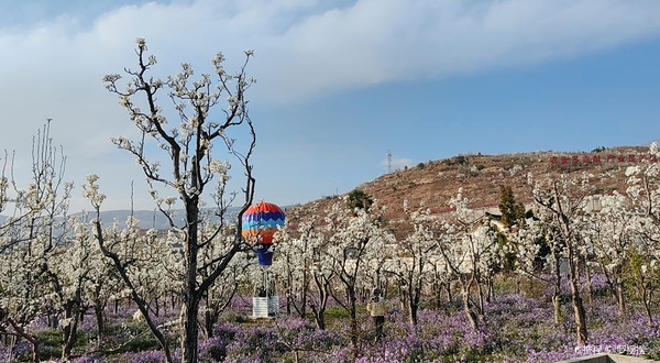 雅安市汉源县花海果乡旅游景区