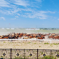 太仆寺御马苑旅游区