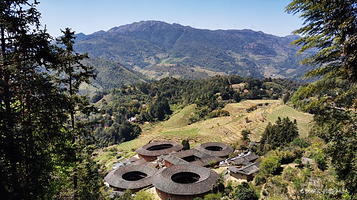 田螺坑土楼群-下观景台