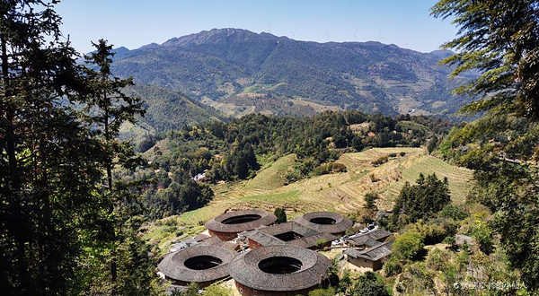 田螺坑土楼群-下观景台