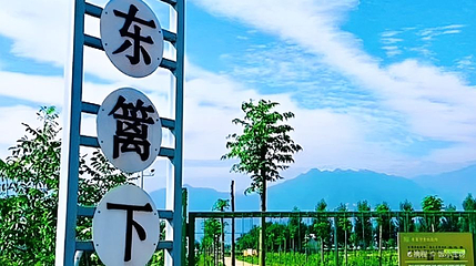 东篱下有机农场第 1 张图片