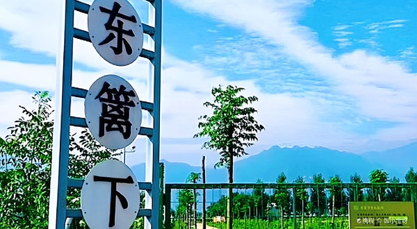 东篱下有机农场