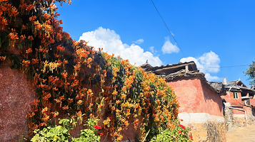 盐边县红格村旅游景区