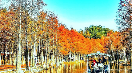 皖南川藏线丫溪谷风景区第 1 张图片
