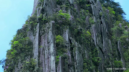 羊狮幕第 1 张图片