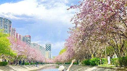 望京海棠花溪第 1 张图片