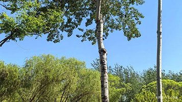 后沙峪人民公园