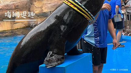 广州海洋馆-海港码头第 1 张图片