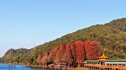 梅江区芹洋湿地公园第 1 张图片