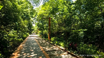 四川外国语大学-川外小铁路