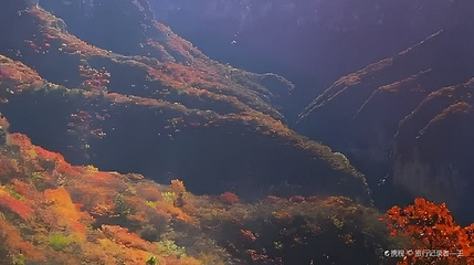 杀九坨第 1 张图片