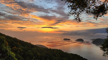 花竹日出1号观景点