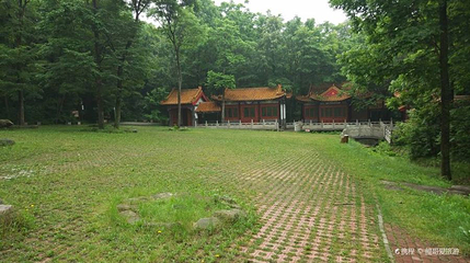 黑龙江省森林植物园-长寿山第 1 张图片
