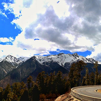白马雪山观景台