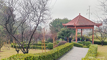 六店子社区公园