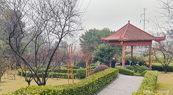 六店子社区公园