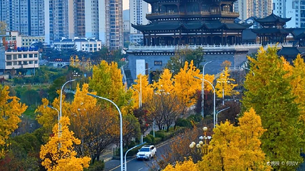 织金阁第 1 张图片