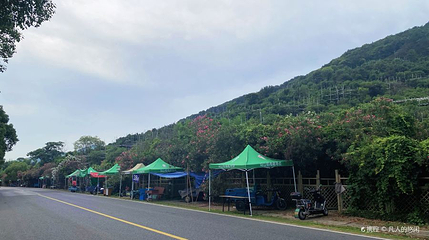 小灵山第 1 张图片
