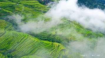 龙脊大瑶寨梯田观景区-二号观景台