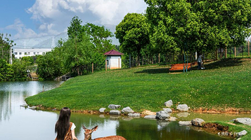 白茶原·青苔农场