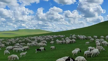 扎鲁特山地草原旅游区