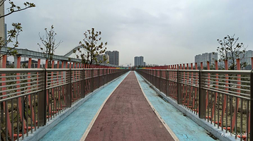 光谷生态中央大走廊