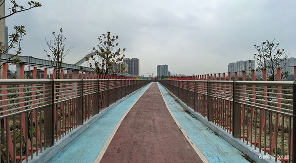 光谷生态中央大走廊