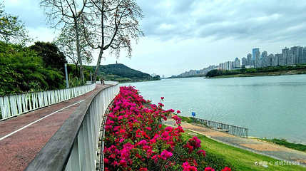 邕江沿岸公园(青秀山段)第 1 张图片