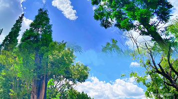 干沟尾湿地公园天空之镜