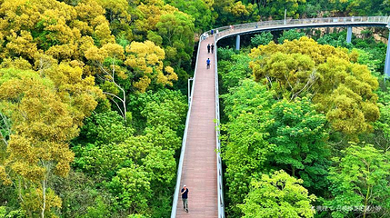 山海健康步道第 1 张图片