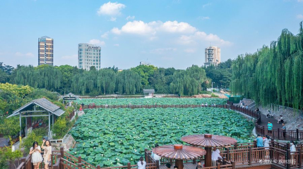 紫荆山公园第 1 张图片