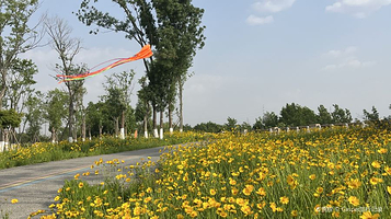 安昌河南岸生态湿地公园