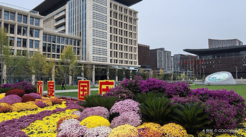 雄安商务服务中心-南广场