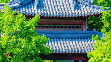 苏韵荟谷第 1 张图片
