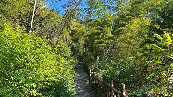 道吾山森林步道(蕉溪段起点)